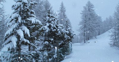 Serre Chevalier samedi 14 f&eacute;vrier 2015