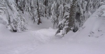 Saint Pierre de Chartreuse vendredi 6 f&eacute;vrier 2015