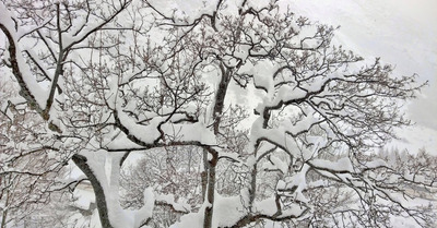 Bonneval vendredi 6 février 2015