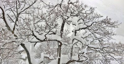 Bonneval vendredi 6 f&eacute;vrier 2015