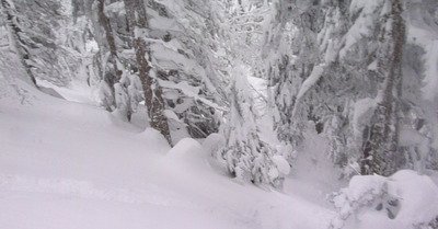 Saint Pierre de Chartreuse jeudi 5 f&eacute;vrier 2015