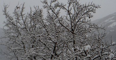 Pelvoux-Vallouise mercredi 4 f&eacute;vrier 2015
