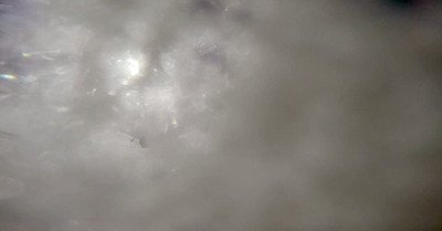 Davos mardi 3 f&eacute;vrier 2015