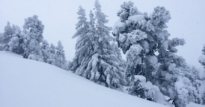 Lans en Vercors dimanche 1 février 2015