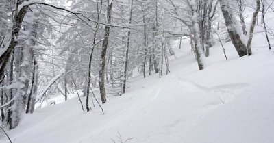 Monts Jura samedi 31 janvier 2015