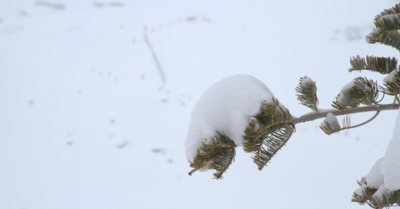 Val Thorens jeudi 29 janvier 2015