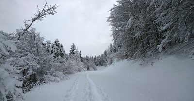 Villard de Lans mardi 20 janvier 2015