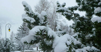 La Plagne samedi 17 janvier 2015