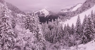 Saint Pierre de Chartreuse lundi 17 novembre 2014