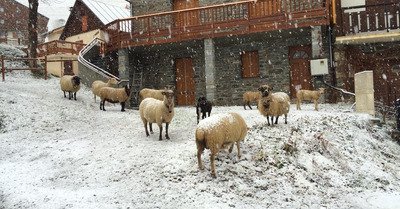 Saint Sorlin d'Arves samedi 15 novembre 2014