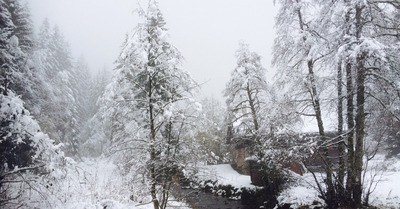 Morgins jeudi 6 novembre 2014