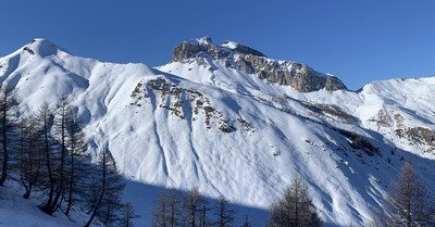 Le printemps est l&agrave;