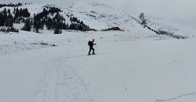 Jardinage &agrave; l'Etale