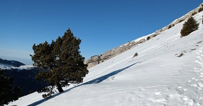 Chamechaude en mode reconnaissance…