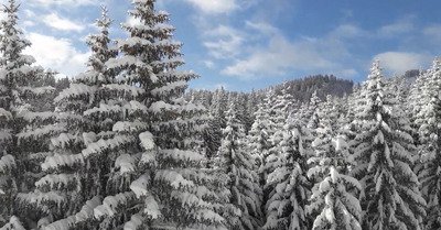 Combloux lundi 28 janvier 2019