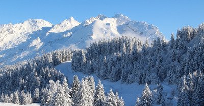 Plateau de Beauregard depuis Champ Giguet