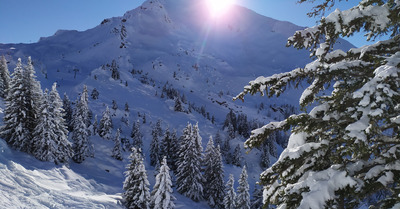 journée drop in à Avoriaz