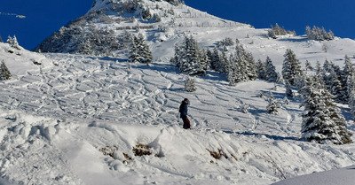 C'est la f&ecirc;te aux requins