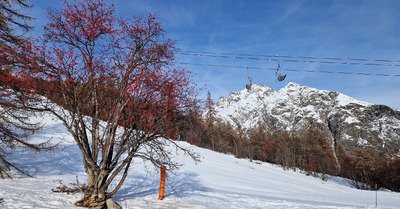 Bon en haut, m&eacute;diocre en bas... Ou l'inverse 