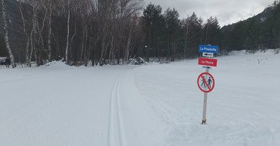 Skating tr&egrave;s sympa aux Alberts 