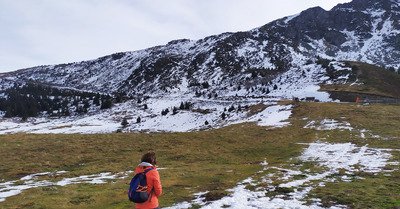 15 cm d herbe fraiche