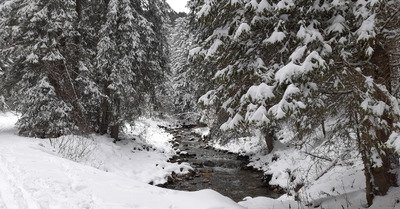D&eacute;&ccedil;u en bien !