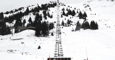 &Agrave; l'Etale sauvage