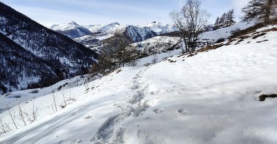 Tr&egrave;s bon sur piste, encore juste en dehors.