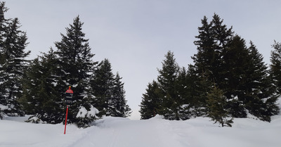 Le calme avant la tempête