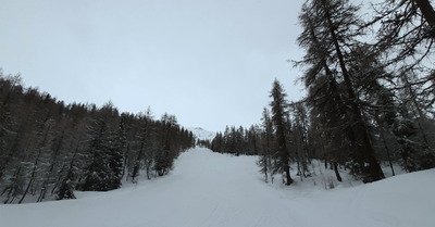Il en manque encore... Mais &ccedil;a s'am&eacute;liore ! 