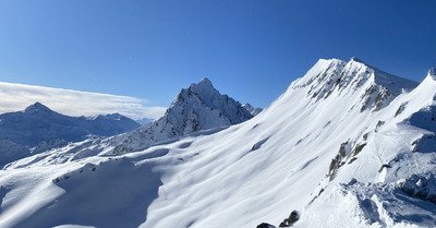 Il faut legaliser la poudreuse