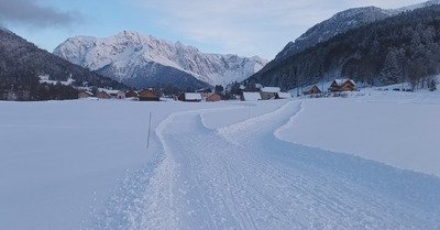 Gr&egrave;ve buissonni&egrave;re en ski de fond 