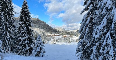 La bresse en neige 