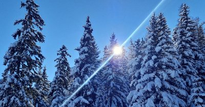 Conditions quasi id&eacute;ales ! 