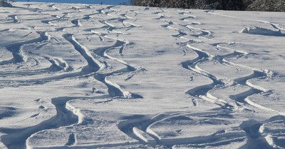 Neige de r&ecirc;ve face au Mont-Blanc