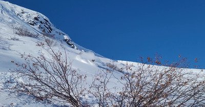 C'est bon mais &ccedil;a pique ! 