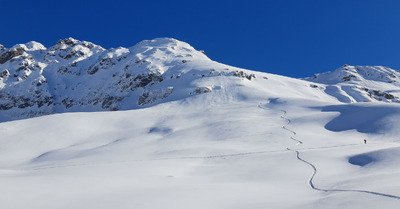 Freerando aux Contas