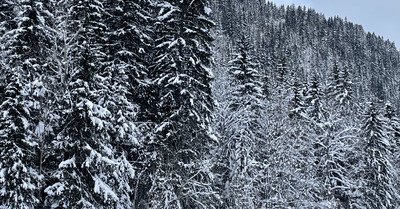 L&rsquo;hiver comme on l&rsquo;aiime