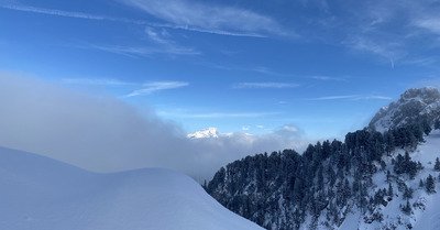 Tout va tres bien madame la marquise