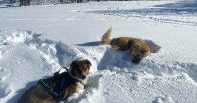 Balade &agrave; Praz Coutin 