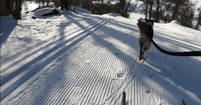 Du ski mais pas que....