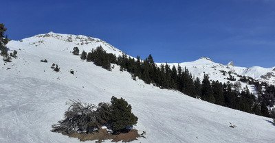 Journ&eacute;e de decompession avant le week-end. 