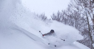 Dry January, c'est fini