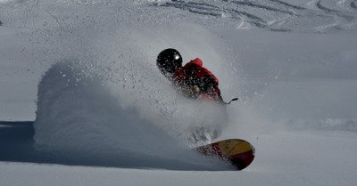 Gavage de f&eacute;vrier !