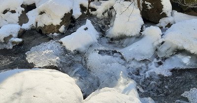 Marche &agrave; Sarenne