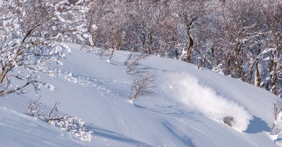 Geto Kogen, king of snow