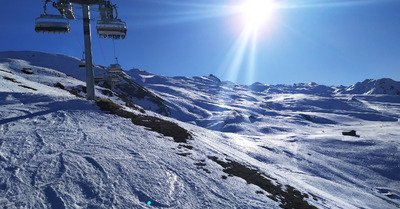les oiseaux chantent, les fleurs poussent