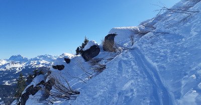 Le matin, c'est bien