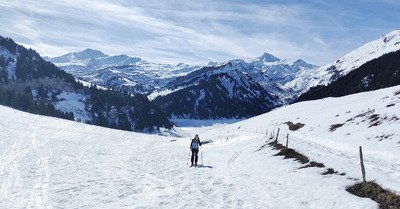 Soupe et d&eacute;solation...