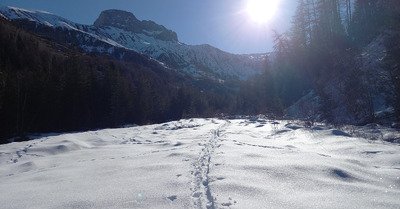 Vraiment pas terrible !